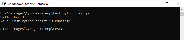 first-python-program-output