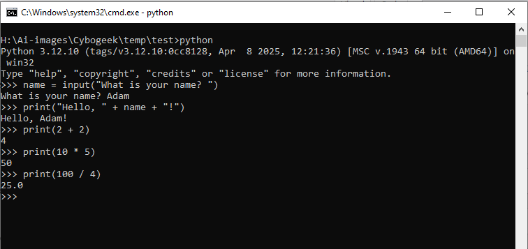 python-program-test