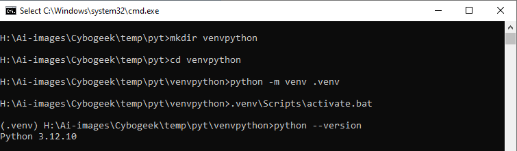 verify python version inside venv